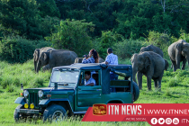 Sri Lanka the best country in Asia for wildlife tourism